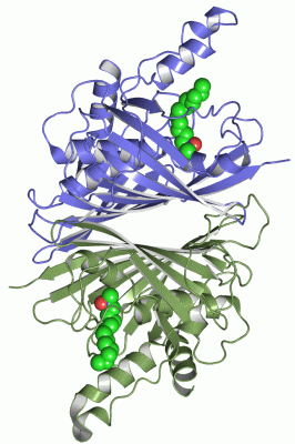 Image Asym./Biol. Unit - manually