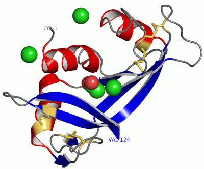 Image Asym./Biol. Unit - manually