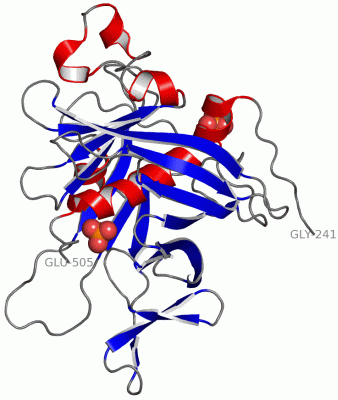 Image Asym./Biol. Unit - manually