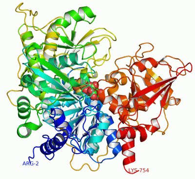 Image Asym./Biol. Unit - manually