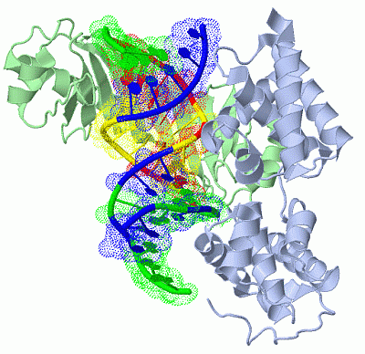 Image Biol.Unit 1 - manually