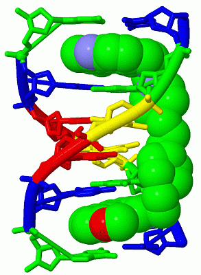 Image Biol.Unit 1 - manually