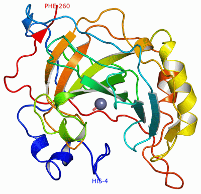 Image Asym./Biol. Unit - manually