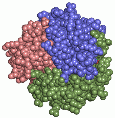 Image Asym./Biol. Unit - manually