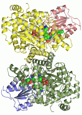 Image Asym./Biol. Unit - manually