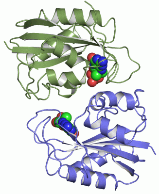 Image Asym./Biol. Unit - manually