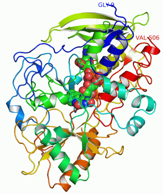 Image Asym./Biol. Unit - manually