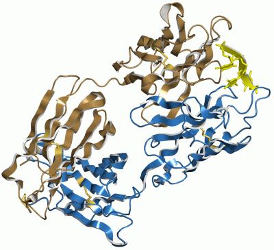 Image Asym./Biol. Unit - manually