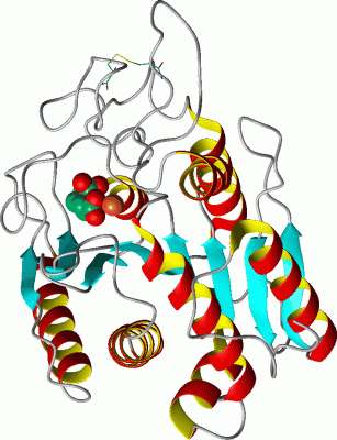 Image Asym./Biol. Unit - manually