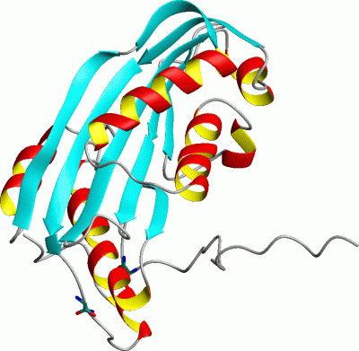 Image Asym.Unit - manually