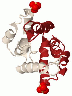 Image Biol.Unit 1 - manually