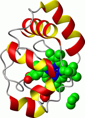 Image Asym./Biol. Unit - manually