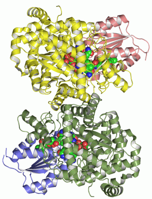 Image Asym./Biol. Unit - manually