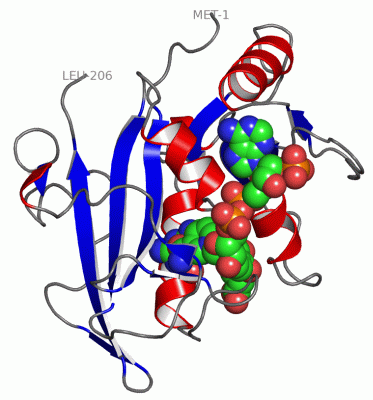 Image Asym./Biol. Unit - manually