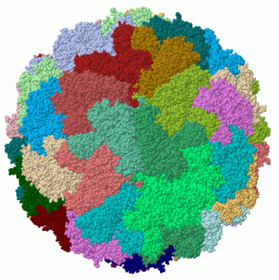 Image Biol.Unit 1 - manually