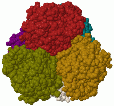 Image Biol.Unit 1 - manually