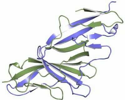 Image Asym./Biol. Unit - manually