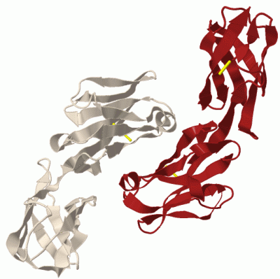 Image Biol.Unit 1 - manually