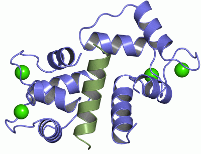 Image Asym./Biol. Unit - manually