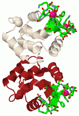 Image Biol.Unit 1 - manually