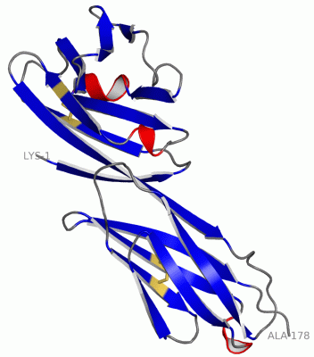 Image Asym./Biol. Unit - manually