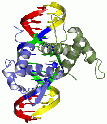 Image Asym./Biol. Unit - manually