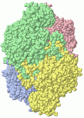 Image Asym./Biol. Unit - manually