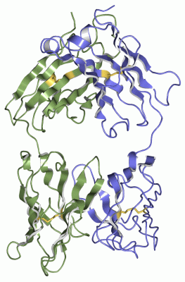 Image Asym./Biol. Unit - manually