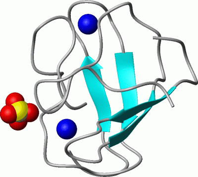 Image Asym./Biol. Unit - manually