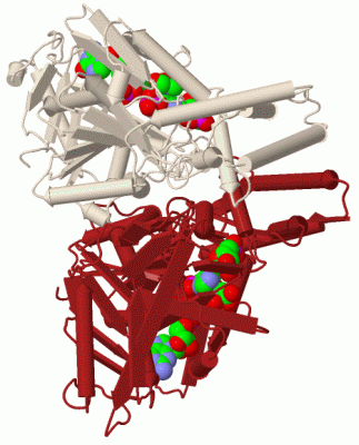 Image Biol.Unit 1 - manually