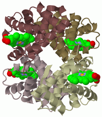 Image Biol.Unit 1 - manually