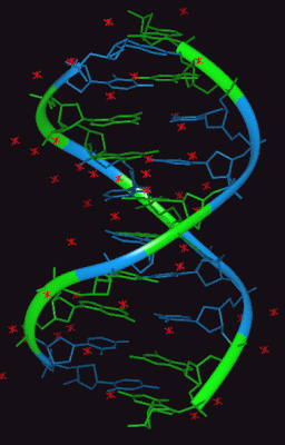 Image Asym./Biol. Unit - manually