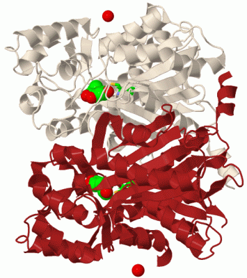 Image Biol.Unit 1 - manually