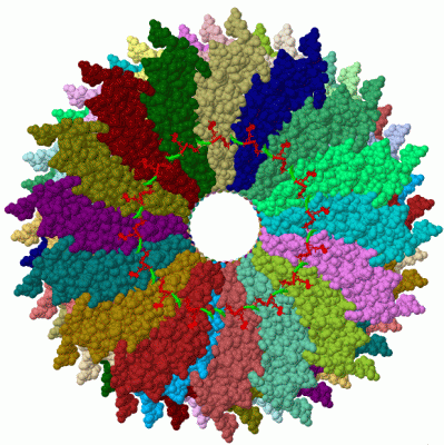 Image Biol.Unit 1 - manually