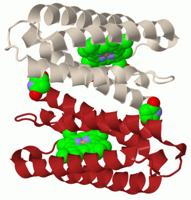 Image Biol.Unit 1 - manually