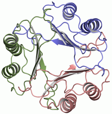 Image Asym./Biol. Unit - manually