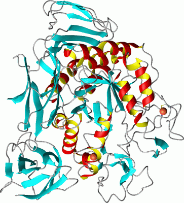 Image Asym./Biol. Unit - manually