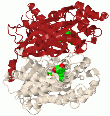 Image Biol.Unit 1 - manually