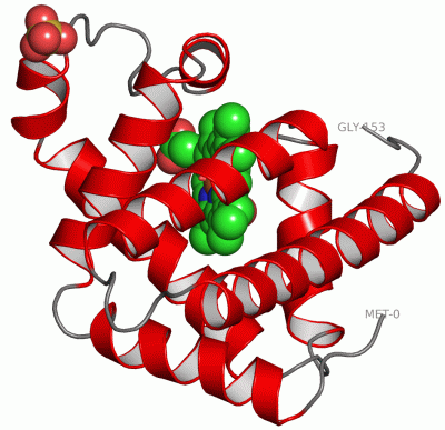 Image Asym./Biol. Unit - manually