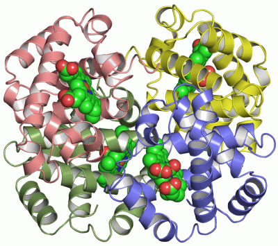 Image Asym./Biol. Unit - manually