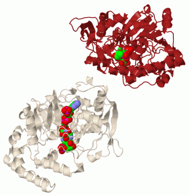 Image Biol.Unit 1 - manually