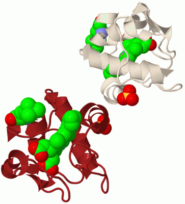 Image Biol.Unit 1 - manually