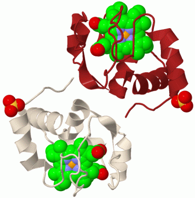 Image Biol.Unit 1 - manually