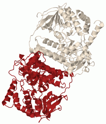 Image Biol.Unit 1 - manually