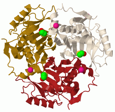 Image Biol.Unit 1 - manually