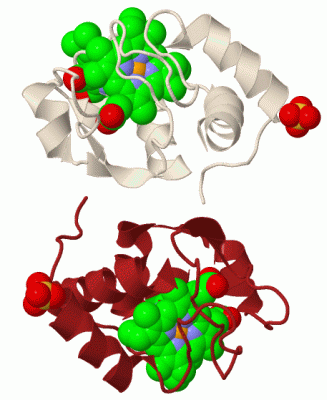 Image Biol.Unit 1 - manually