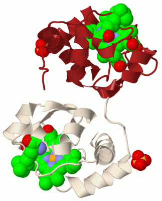 Image Biol.Unit 1 - manually