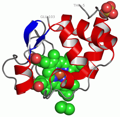 Image Asym./Biol. Unit - manually