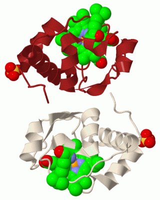 Image Biol.Unit 1 - manually