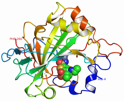 Image Asym./Biol. Unit - manually